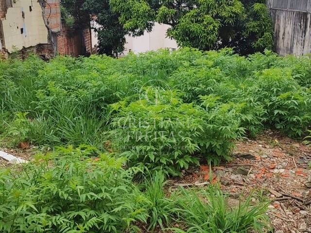 Área para Venda em Diadema - 5