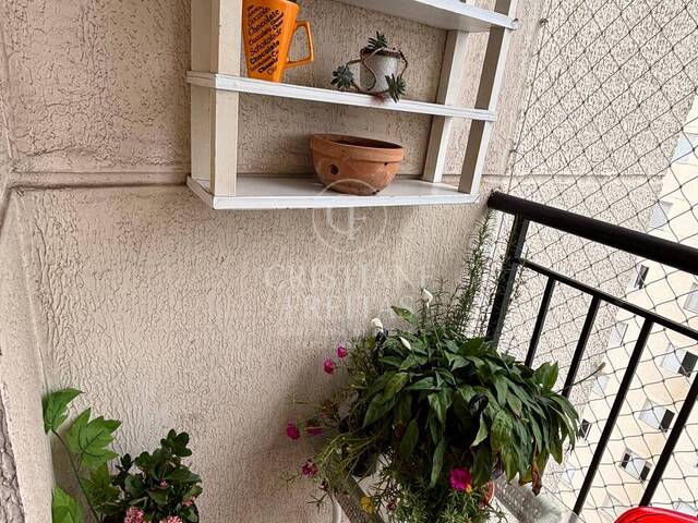 Casa para Venda em Diadema - 5